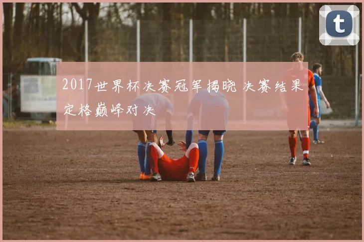 2017世界杯决赛冠军揭晓 决赛结果定格巅峰对决