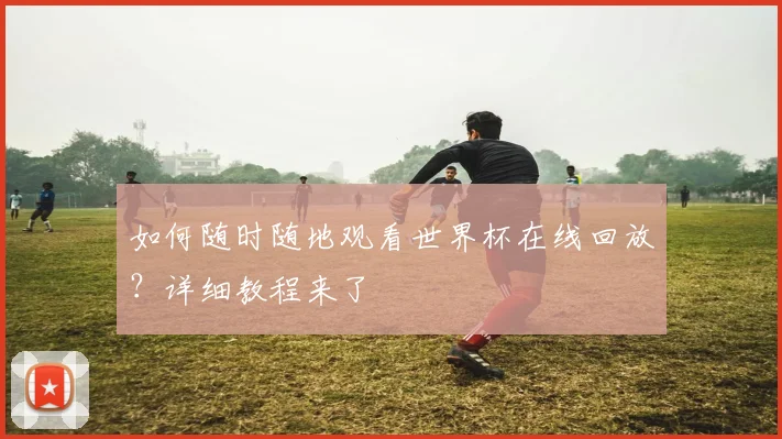如何随时随地观看世界杯在线回放？详细教程来了