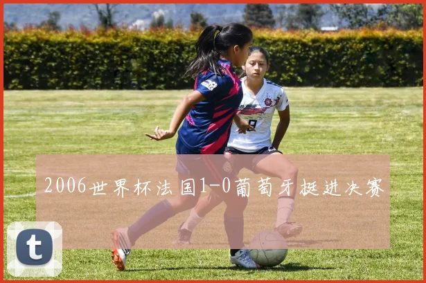 2006世界杯法国1-0葡萄牙挺进决赛