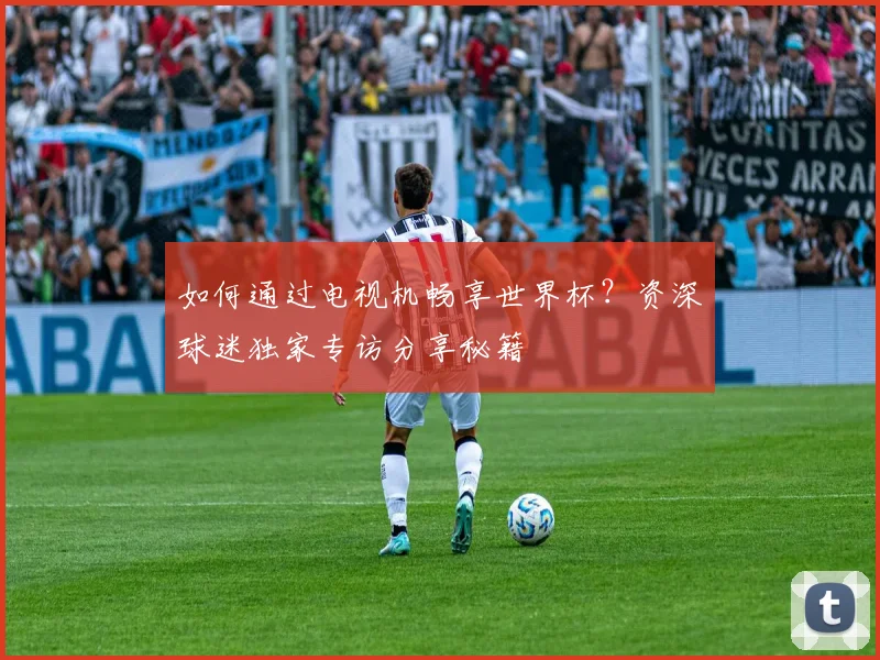 如何通过电视机畅享世界杯?资深球迷独家专访分享秘籍
