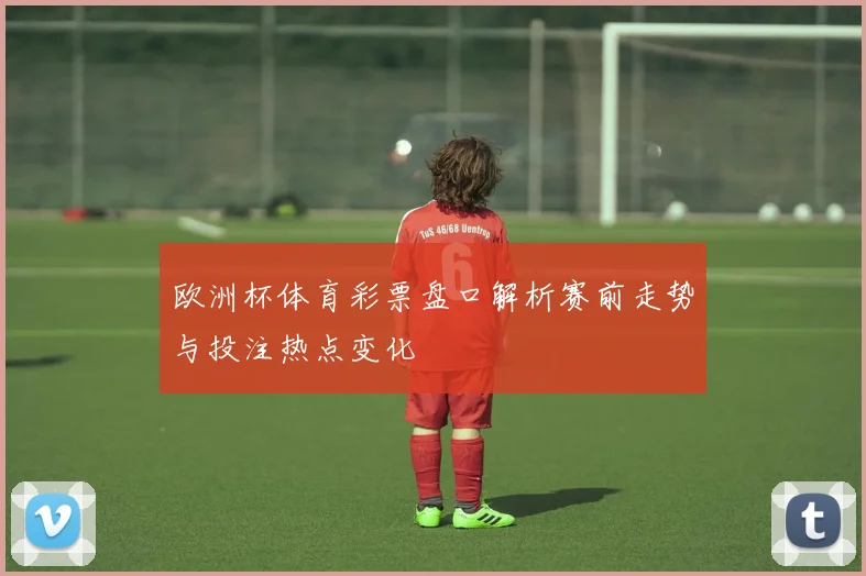 欧洲杯体育彩票盘口解析赛前走势与投注热点变化
