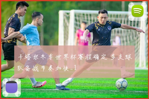 卡塔尔冬季世界杯赛程确定 多支球队备战节奏加快_1