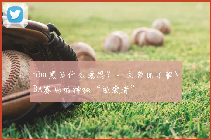 nba黑马什么意思？一文带你了解NBA赛场的神秘“逆袭者”