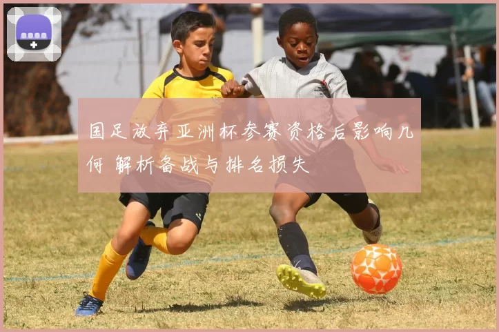 国足放弃亚洲杯参赛资格后影响几何 解析备战与排名损失