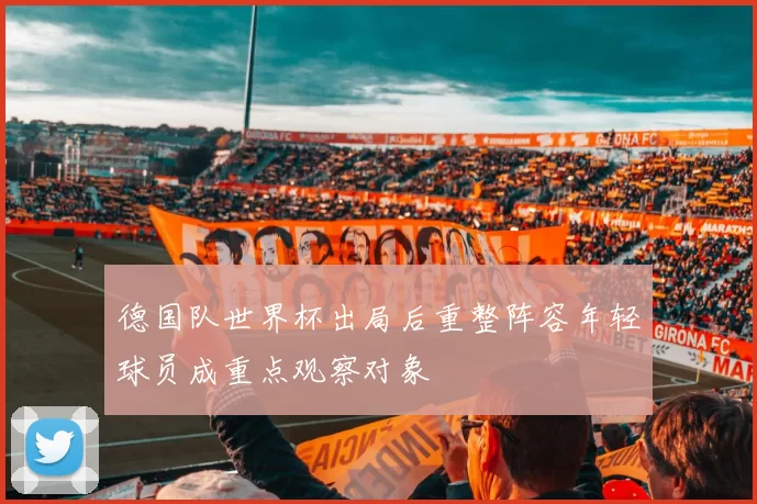 德国队世界杯出局后重整阵容年轻球员成重点观察对象