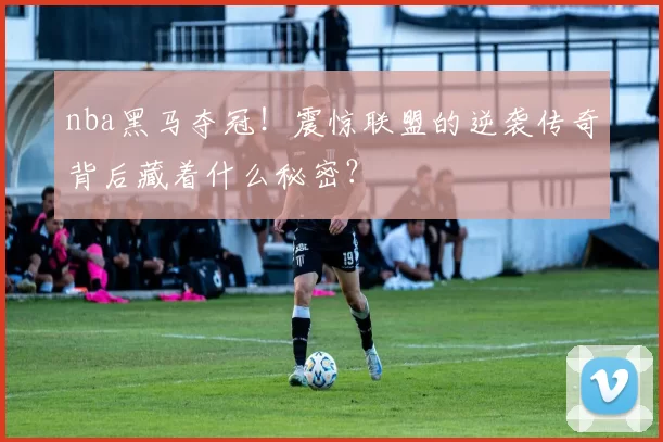 nba黑马夺冠！震惊联盟的逆袭传奇背后藏着什么秘密？