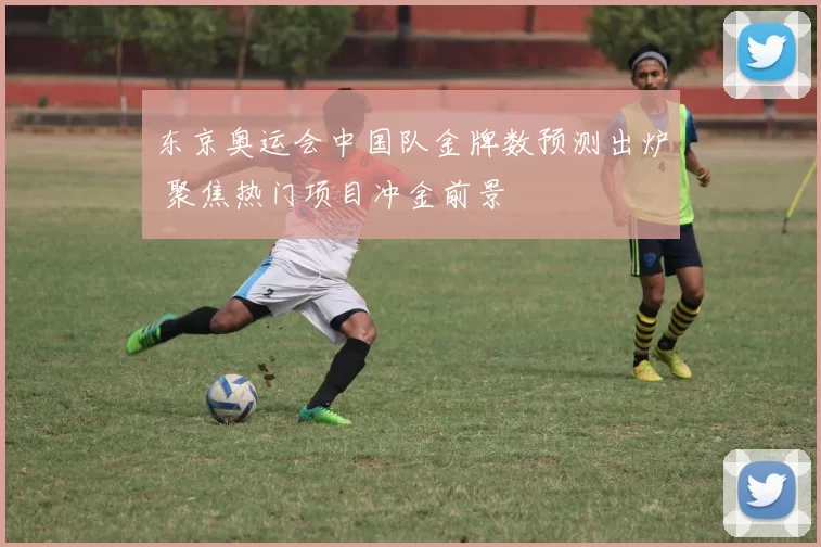 东京奥运会中国队金牌数预测出炉 聚焦热门项目冲金前景