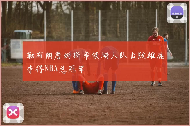 勒布朗詹姆斯率领湖人队击败雄鹿夺得NBA总冠军