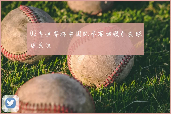 02年世界杯中国队参赛回顾引发球迷关注