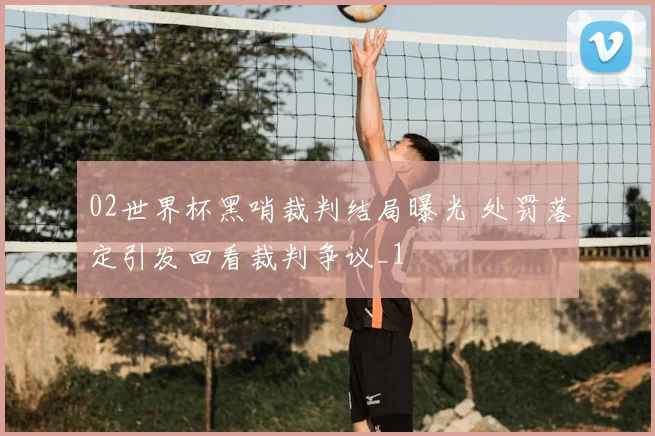 02世界杯黑哨裁判结局曝光 处罚落定引发回看裁判争议_1