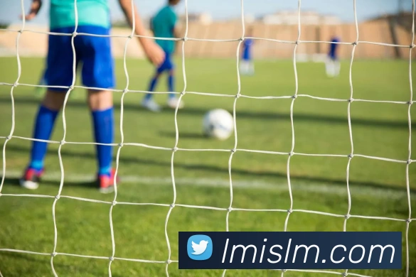 mksports官网登录平台生态图